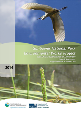 Gunbower National Park: Supply Measure Business Case