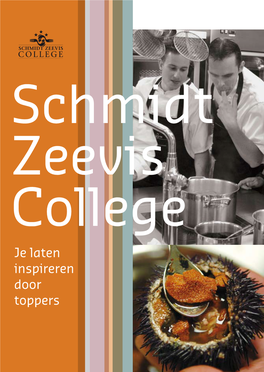 Je Laten Inspireren Door Toppers Schmidt Zeevis College