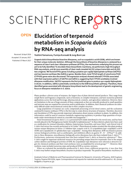 Elucidation of Terpenoid Metabolism in Scoparia Dulcis by RNA-Seq Analysis