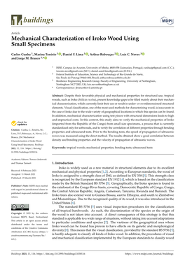 Mechanical Characterization of Iroko Wood Using Small Specimens