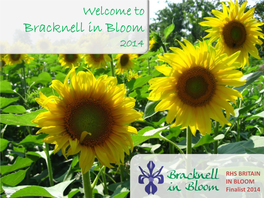 Bracknell in Bloom 2014