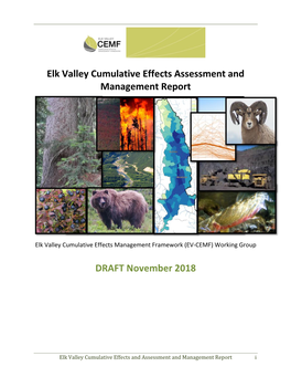 Elk Valley Cumulative Effects Assessment and Management Report