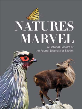 Natures-Marvel.Pdf