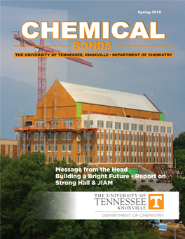 Chemical Bonds, Spring 2016