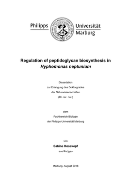 Regulation of Peptidoglycan Biosynthesis in Hyphomonas Neptunium