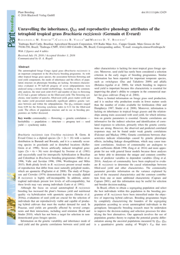 Unravelling the Inheritance, QST and Reproductive Phenology Attributes of the Tetraploid Tropical Grass Brachiaria Ruziziensis (Germain Et Evrard)