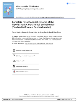 Complete Mitochondrial Genome of the Pigeye Shark Carcharhinus Amboinensis (Carcharhiniformes: Carcharhinidae)