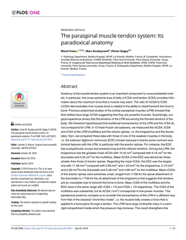 The Paraspinal Muscle-Tendon System: Its Paradoxical Anatomy