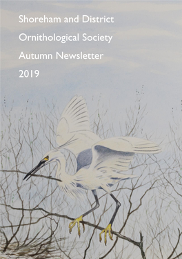 Shoreham and District Ornithological Society Autumn Newsletter 2019