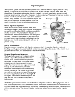 Digestive System”