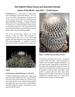 San Gabriel Valley Cactus and Succulent Society Cactus of the Month June 2001 Ð Turbinicarpus