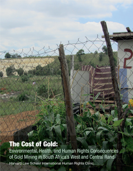 The Cost of Gold