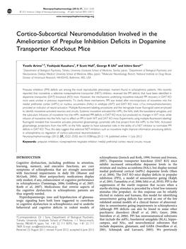 Cortico-Subcortical Neuromodulation Involved in the Amelioration of Prepulse Inhibition Deficits in Dopamine Transporter Knockout Mice