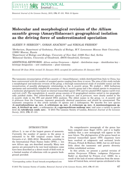 Molecular and Morphological Revision of the Allium Saxatile Group (Amaryllidaceae): Geographical Isolation As the Driving Force of Underestimated Speciation