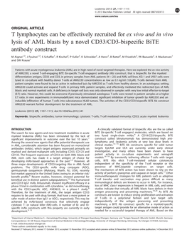 T Lymphocytes Can Be Effectively Recruited for Ex Vivo and in Vivo Lysis of AML Blasts by a Novel CD33/CD3-Bispeciﬁc Bite Antibody Construct
