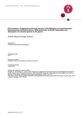 First Evidence of Aggressive Chemical Mimicry in the Malagasy Orb Weaving Spider Exechocentrus Lancearius Simon, 1889 (Arachnida