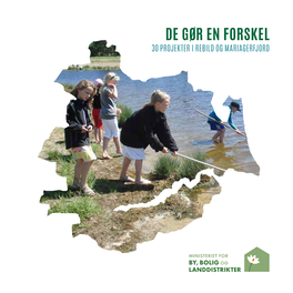 De Gør En Forskel 30 Projekter I Rebild Og Mariagerfjord