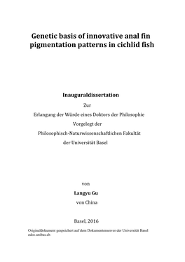 Genetic Basis of Innovative Anal Fin Pigmentation Patterns in Cichlid Fish