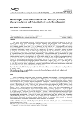 Anisocycla, Eulimella, Puposyrnola, Syrnola and Turbonilla (Gastropoda, Heterobranchia)