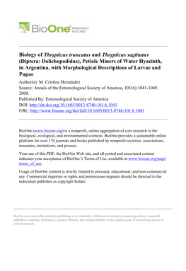 (Diptera: Dolichopodidae), Petiole Miners of Water Hyacinth, in Argentina, with Morphological Descriptions of Larvae and Pupae Author(S): M