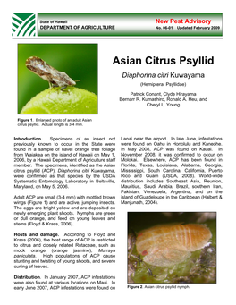 Asian Citrus Psyllid