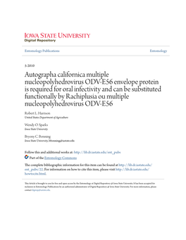 Autographa Californica Multiple Nucleopolyhedrovirus ODV-E56