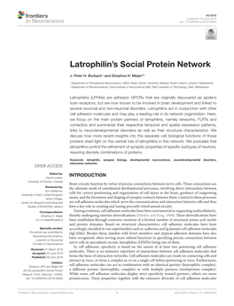 Latrophilin's Social Protein Network