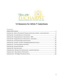 12 Sessions for ADULT Catechesis