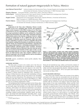 Formation of Natural Gypsum Megacrystals in Naica, Mexico