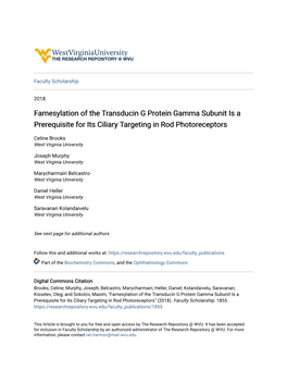 Farnesylation of the Transducin G Protein Gamma Subunit Is a Prerequisite for Its Ciliary Targeting in Rod Photoreceptors