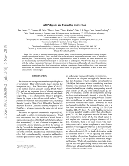 Salt Polygons Are Caused by Convection