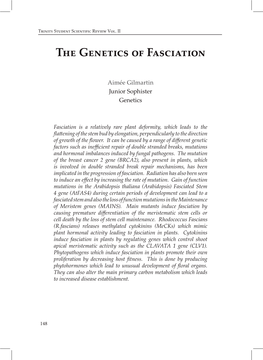 The Genetics of Fasciation