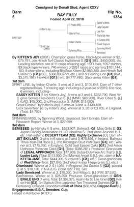 BAY FILLY Barn 5 Hip No. 1384