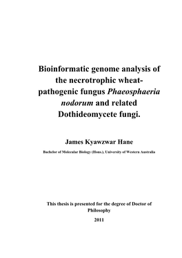 Bioinformatic Genome Analysis of the Necrotrophic Wheat- Pathogenic Fungus Phaeosphaeria Nodorum and Related Dothideomycete Fungi