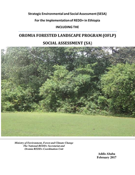 Oromia Forested Landscape Program (Oflp) Social Assessment (Sa )