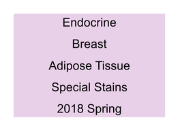 Endocrine Breast Adipose Tissue Special Stains 2018 Spring !!!ENDOCRINE SYSTEM!