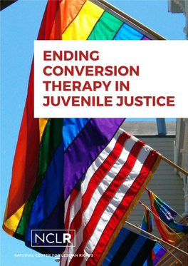 Ending Conversion Therapy in Juvenile Justice