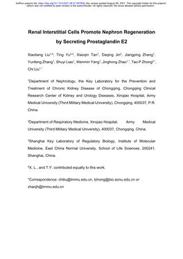 Renal Interstitial Cells Promote Nephron Regeneration by Secreting Prostaglandin E2
