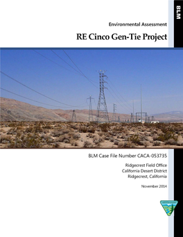 Environmental Assessment RE Cinco Gen-Tie Project