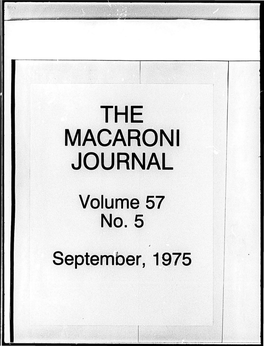 Macaroni Journal