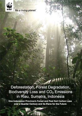 Deforestation, Forest Degradation, Biodiversity Loss and CO2 Emissions in Riau, Sumatra, Indonesia