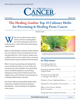 Top 10 Culinary Herbs for Preventing & Healing from Cancer