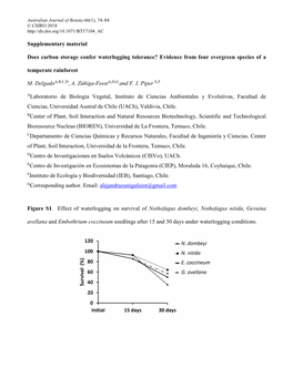 Precarious Conservation Status of Pilgerodendron Uviferum