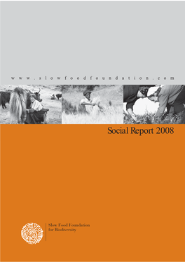 Social Report 2008