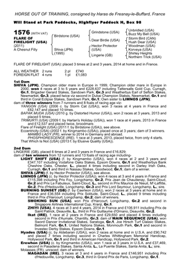 HORSE out of TRAINING, Consigned by Haras De Fresnay-Le-Buffard, France