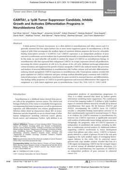 CAMTA1, a 1P36 Tumor Suppressor Candidate, Inhibits Growth and Activates Differentiation Programs in Neuroblastoma Cells