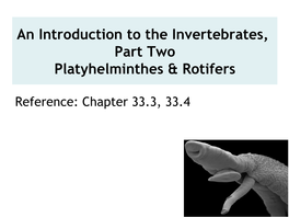 An Introduction to the Invertebrates, Part Two Platyhelminthes & Rotifers