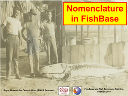Nomenclature in Fishbase