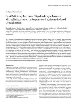 Gas6 Deficiency Increases Oligodendrocyte Loss and Microglial Activation in Response to Cuprizone-Induced Demyelination