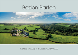 Bozion Barton